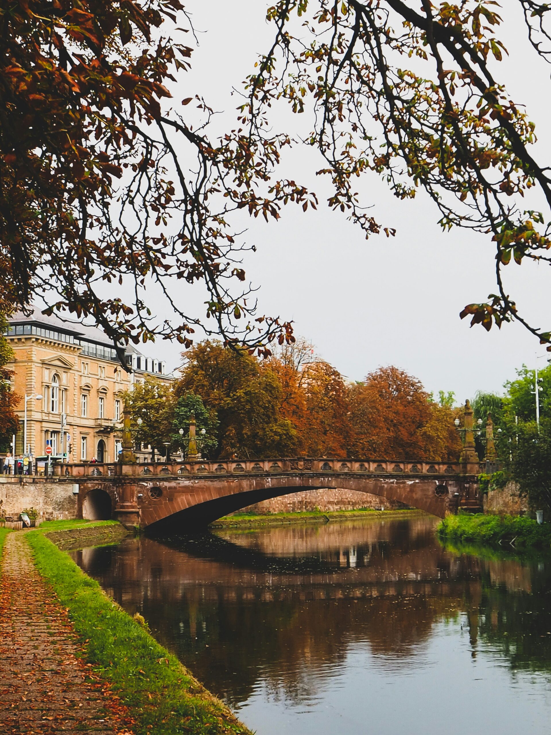 L&rsquo;automne s&rsquo;invite à Strasbourg